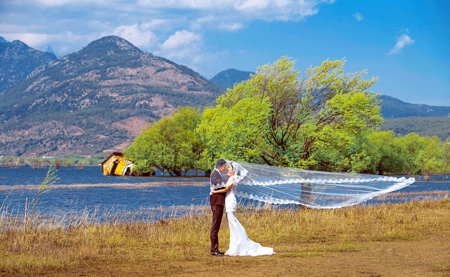 丽江客照[因为爱情]