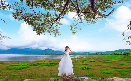 丽江客照[花海]